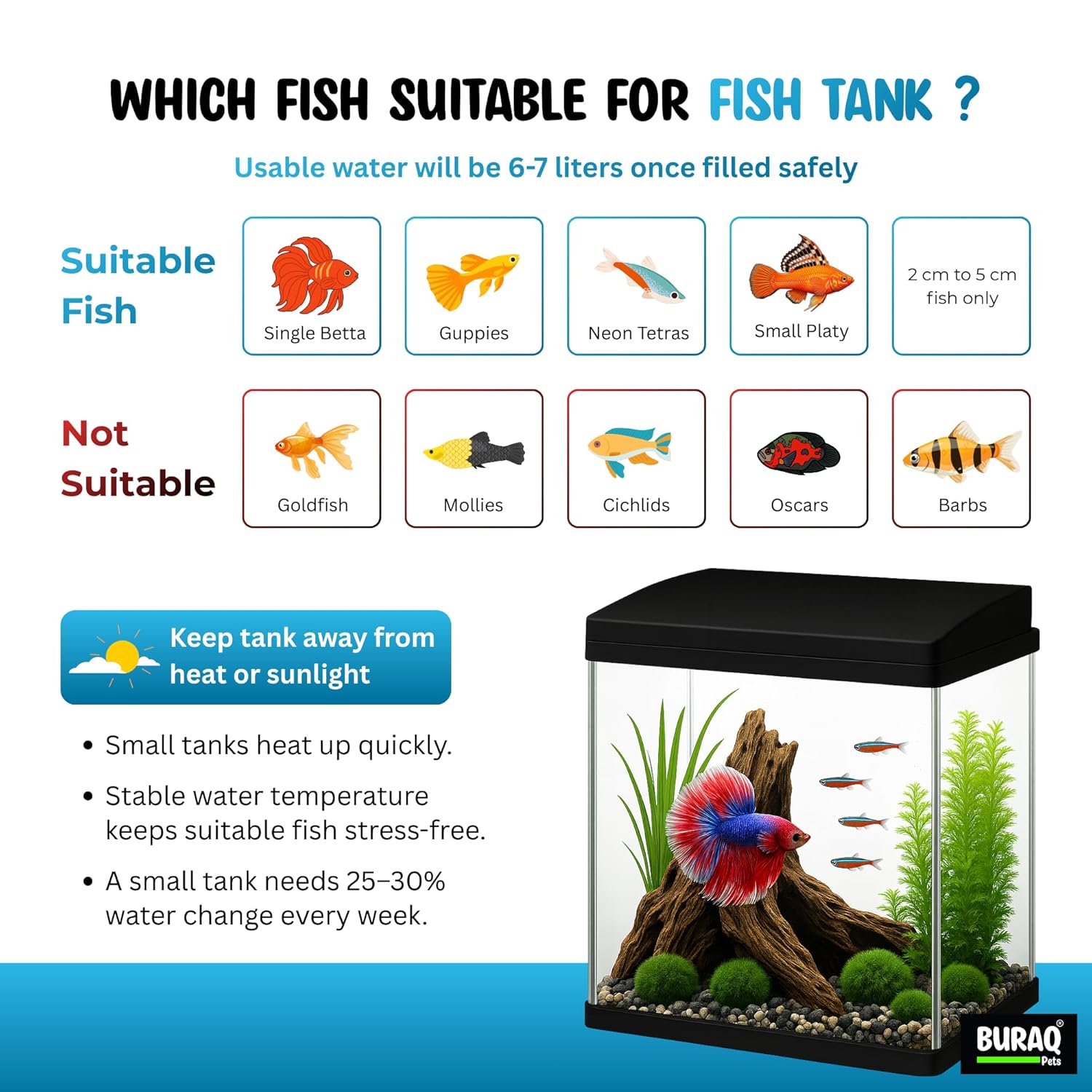 Mini 7L Aquarium Fish Tank – Moulded Design with Filter, LED Light & Lid - BURAQ PETS