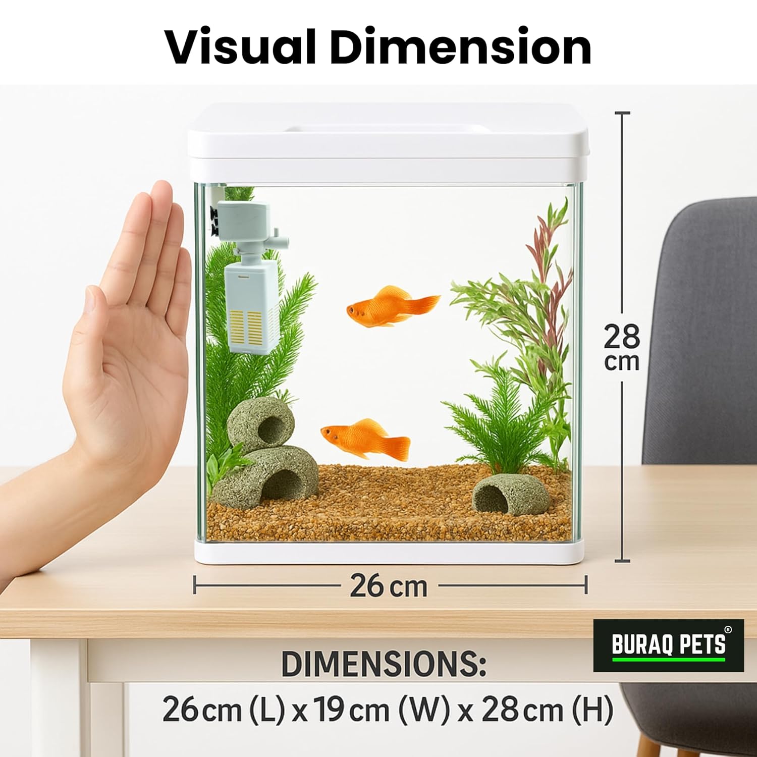 Mini Fish Tank – 4K Transparent Aquarium with Filter & LED Light (26" L x 19" W x 28" H Cm) - BURAQ PETS