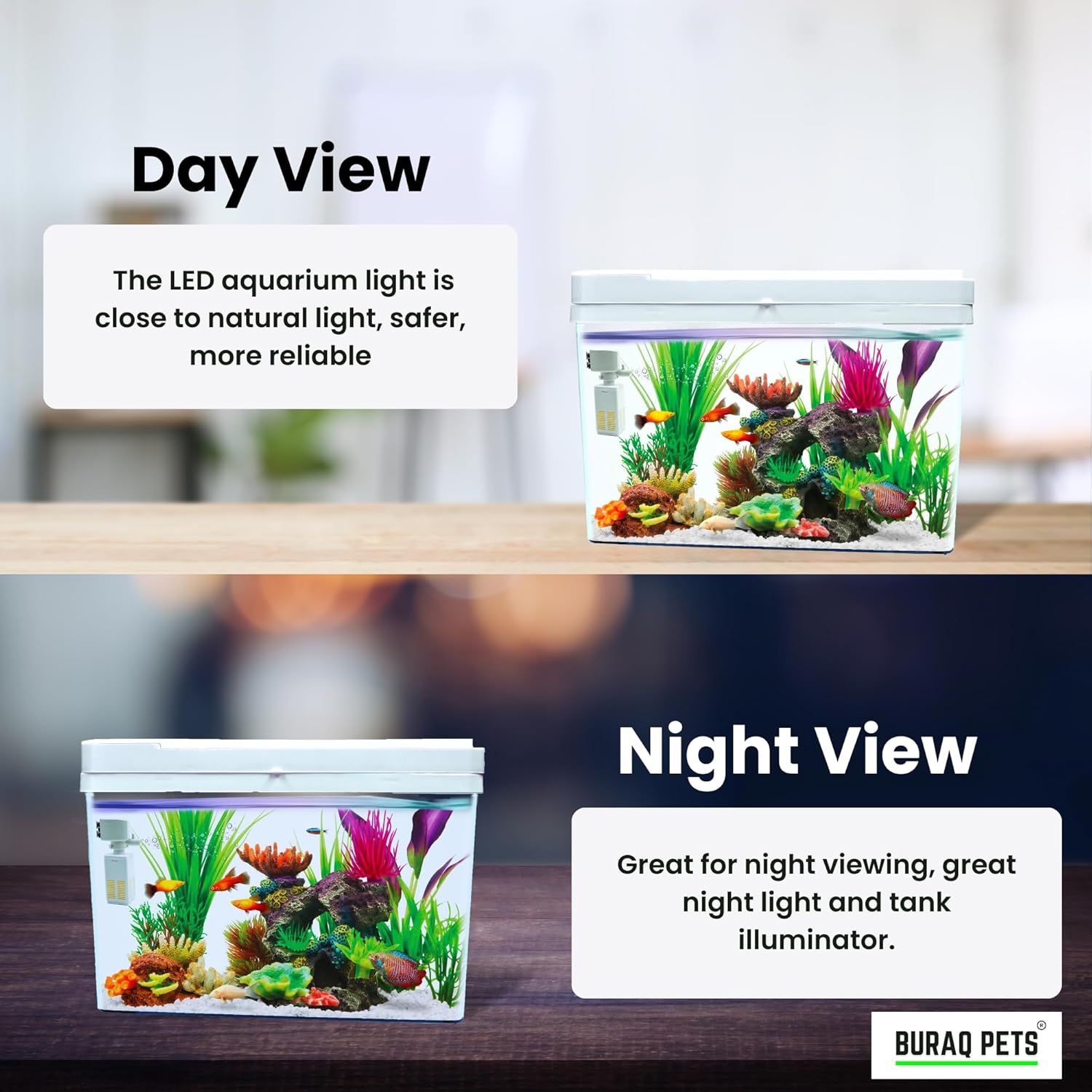 Mini Fish Tank – 4K Transparent Aquarium with Filter & LED Light (33" L x 21" W x 24" H Cm) - BURAQ PETS