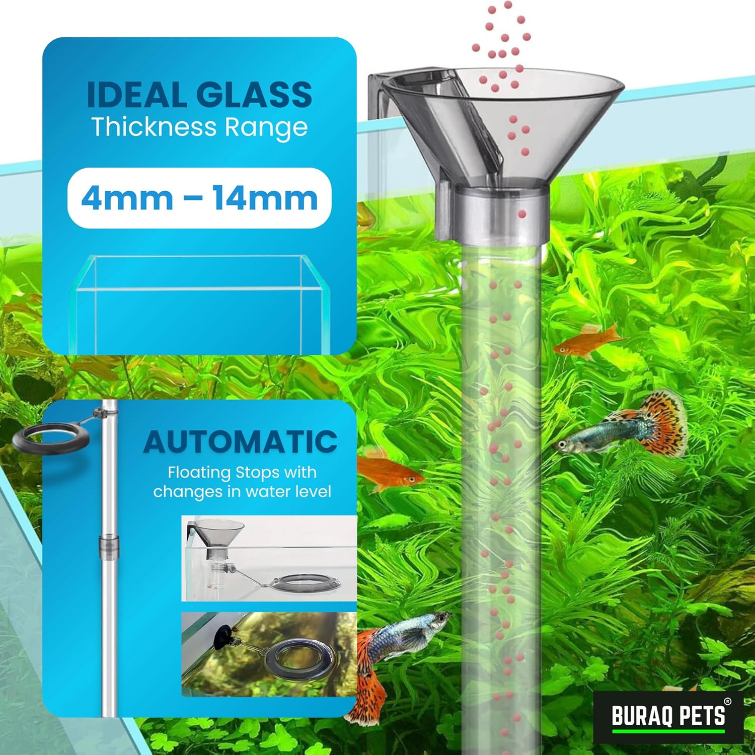 Multi - Functional Fish Feeder Tube Set with Funnel & Ring for Aquarium - BURAQ PETS