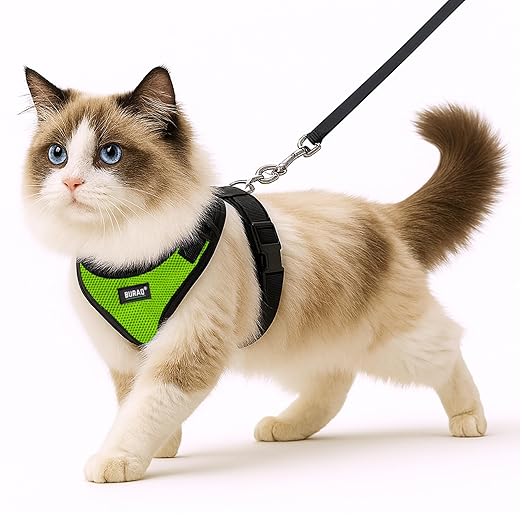 No Pull Cat Harness with Leash – Ultra - Light & Stylish Design - BURAQ PETS