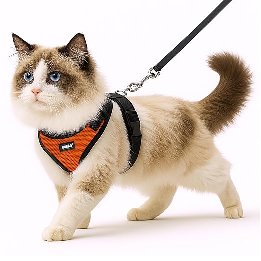 No Pull Cat Harness with Leash – Ultra - Light & Stylish Design - BURAQ PETS
