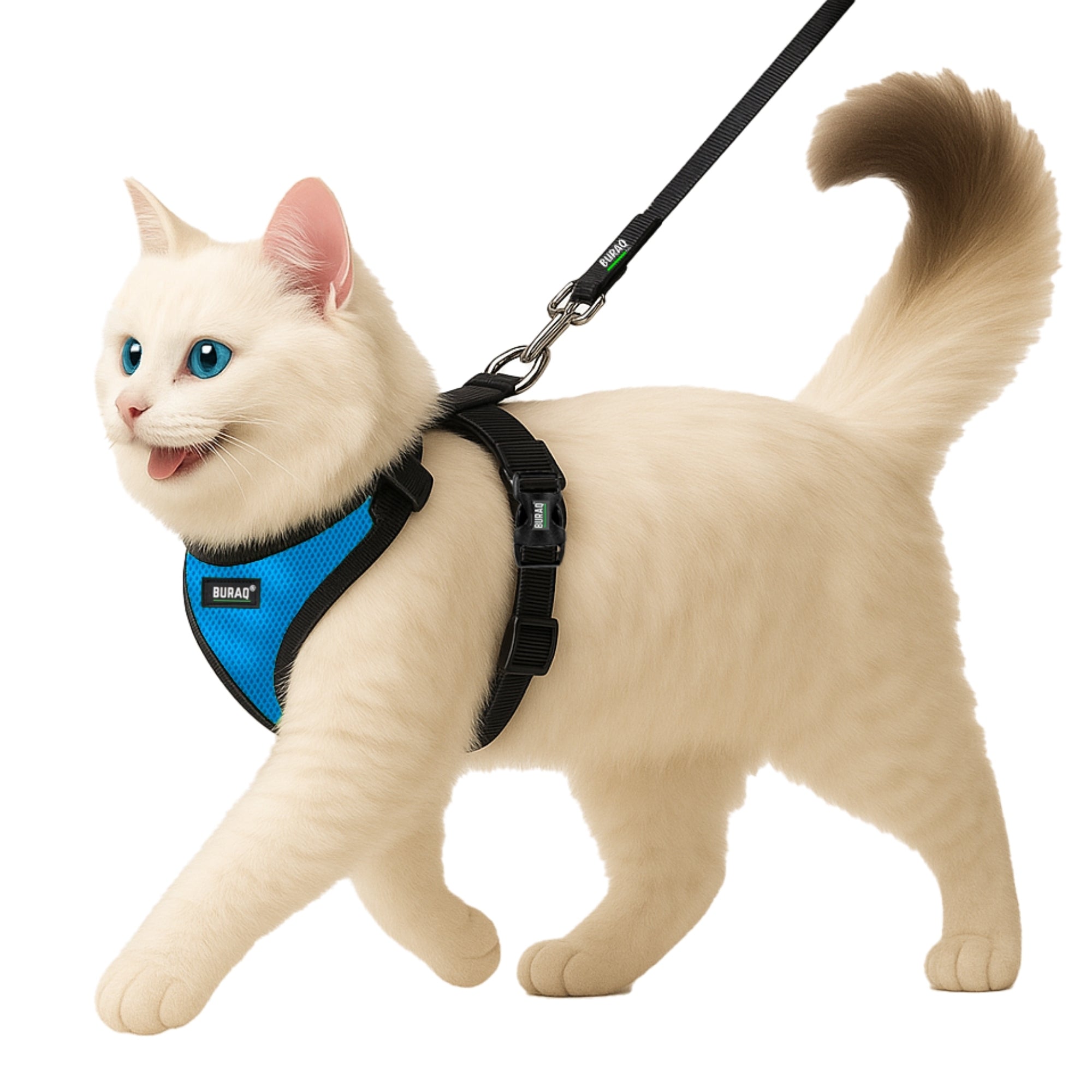 No Pull Cat Harness with Leash – Ultra - Light & Stylish Design - BURAQ PETS