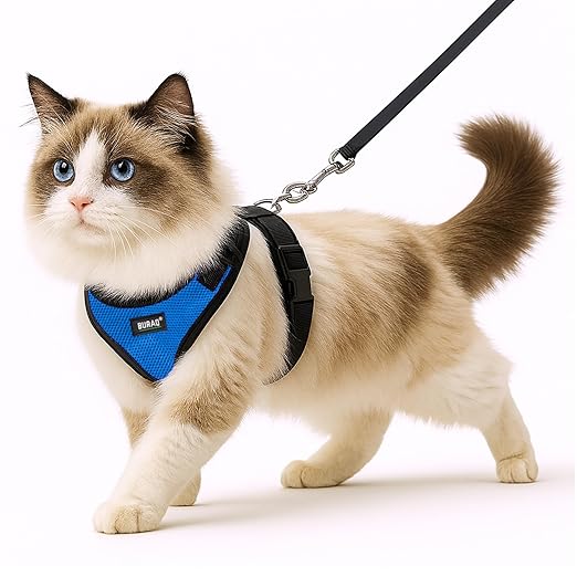 No Pull Cat Harness with Leash – Ultra - Light & Stylish Design - BURAQ PETS