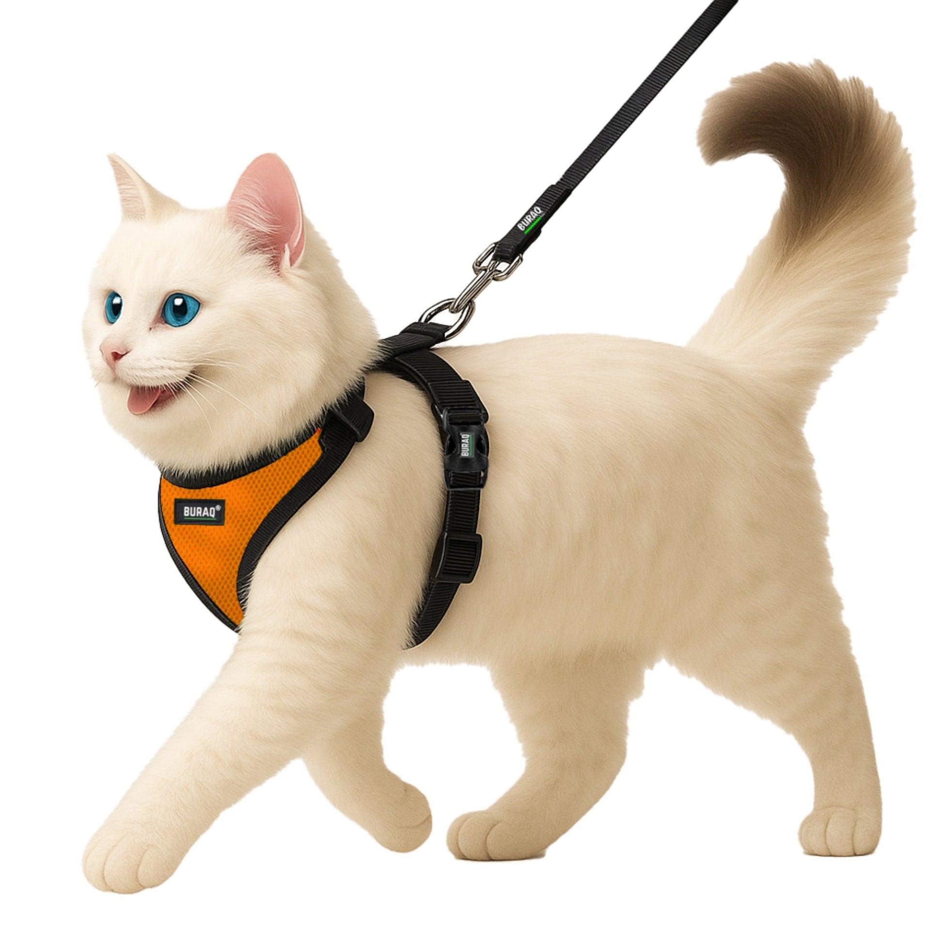No Pull Cat Harness with Leash – Ultra - Light & Stylish Design - BURAQ PETS