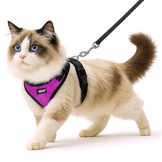 No Pull Cat Harness with Leash – Ultra - Light & Stylish Design - BURAQ PETS