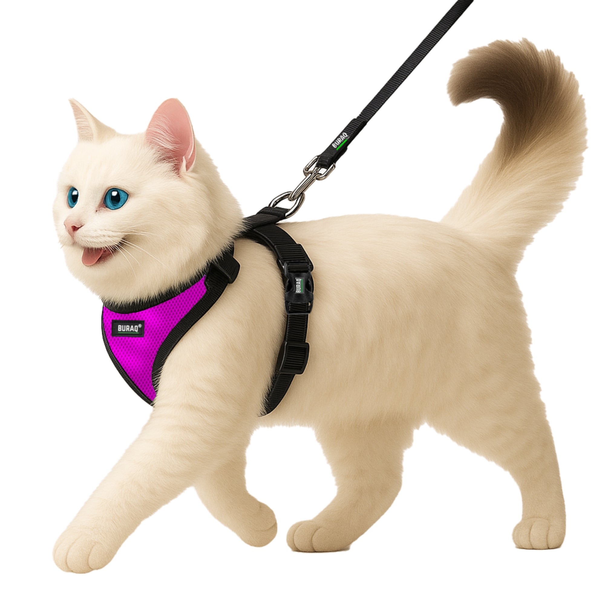No Pull Cat Harness with Leash – Ultra - Light & Stylish Design - BURAQ PETS