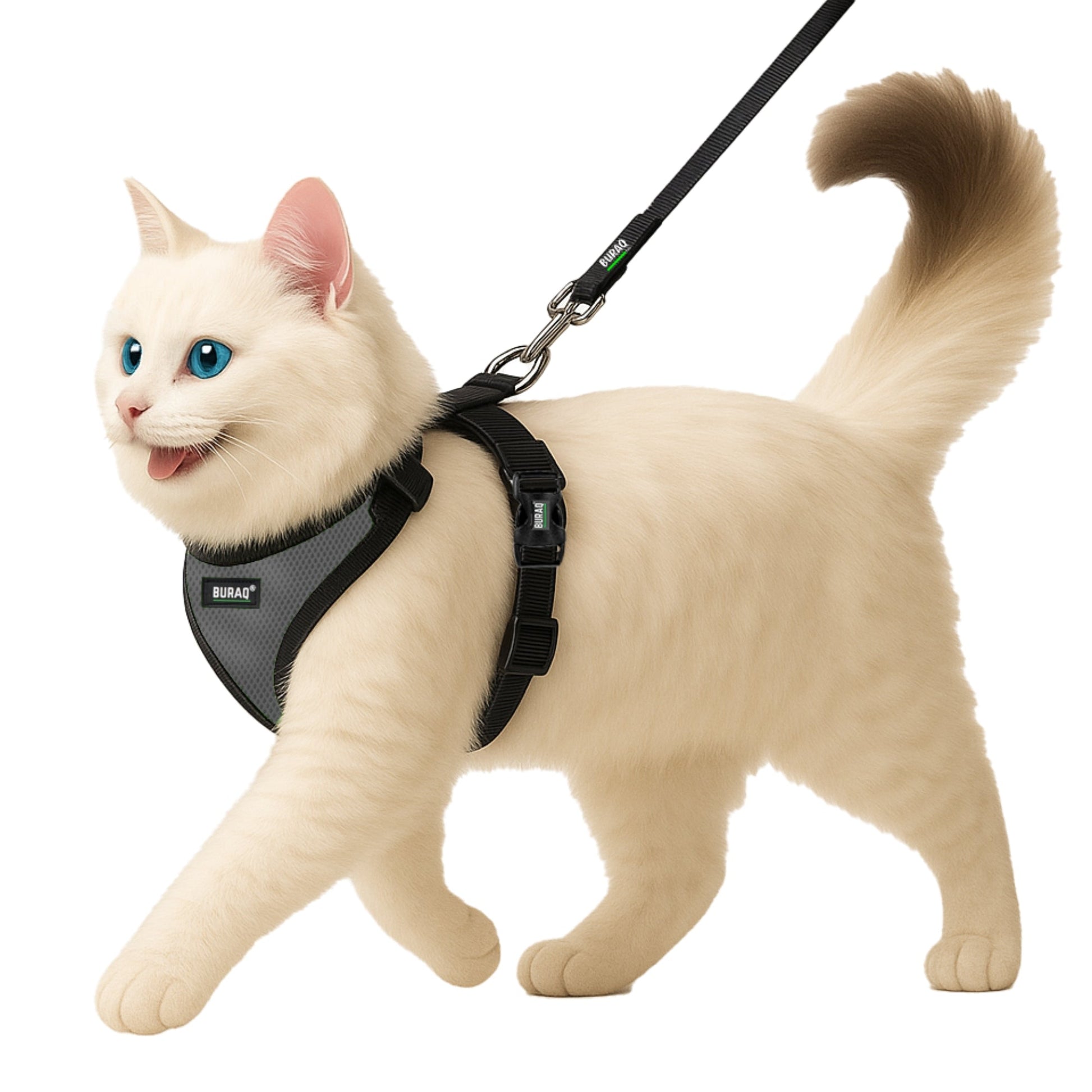 No Pull Cat Harness with Leash – Ultra - Light & Stylish Design - BURAQ PETS