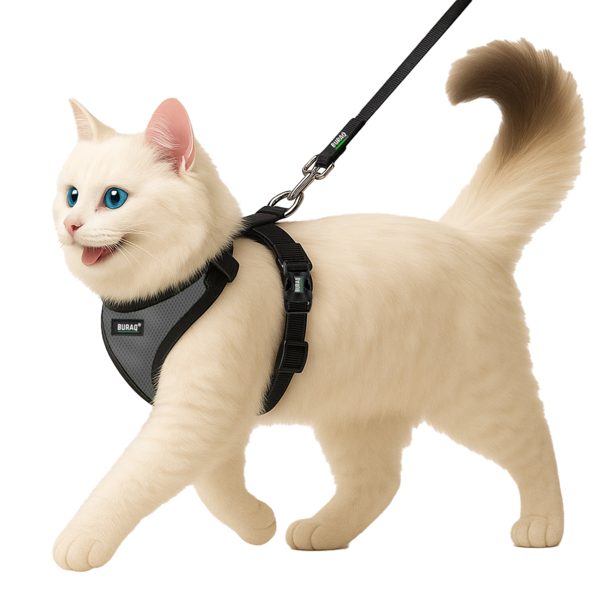 No Pull Cat Harness with Leash – Ultra - Light & Stylish Design - BURAQ PETS