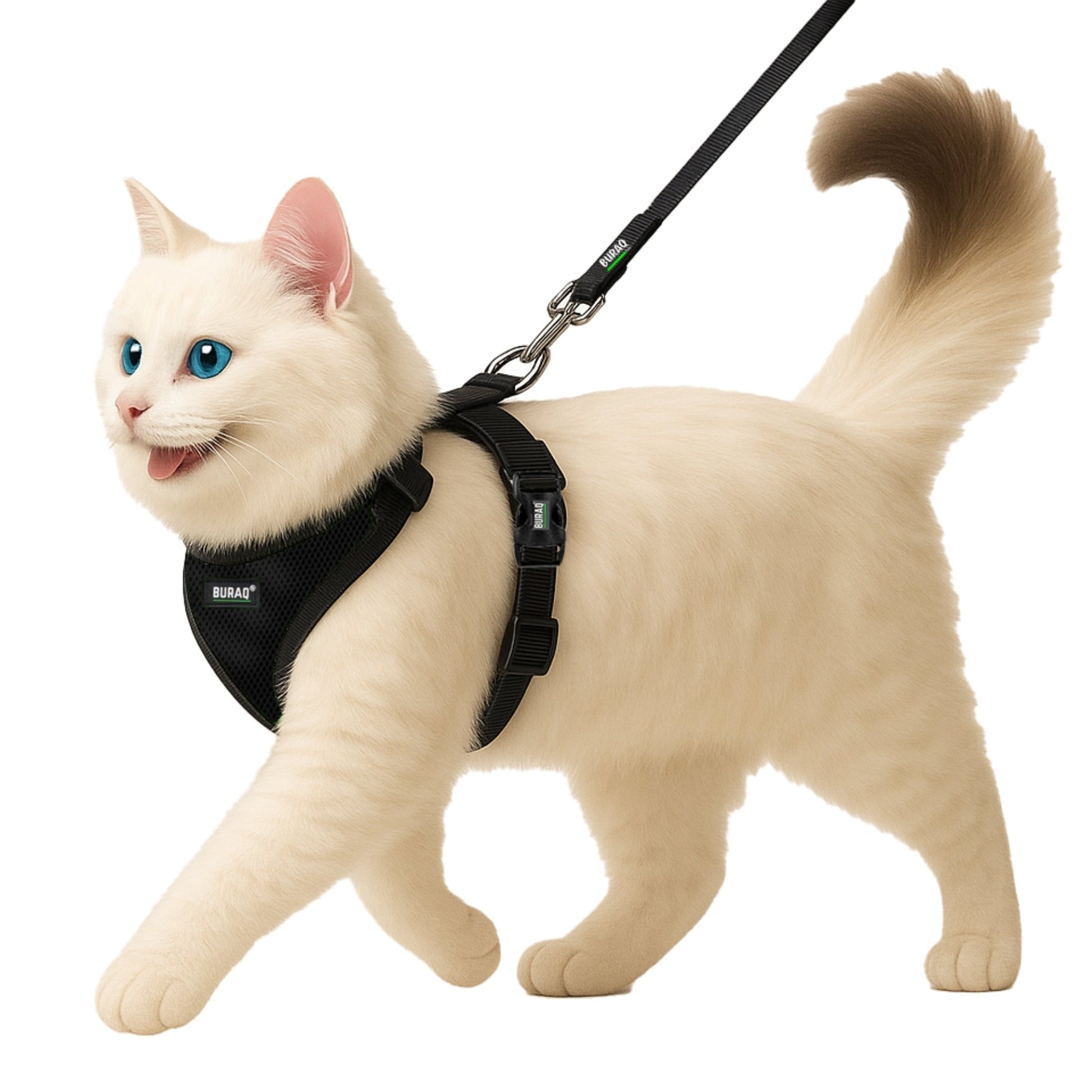 No Pull Cat Harness with Leash – Ultra - Light & Stylish Design - BURAQ PETS
