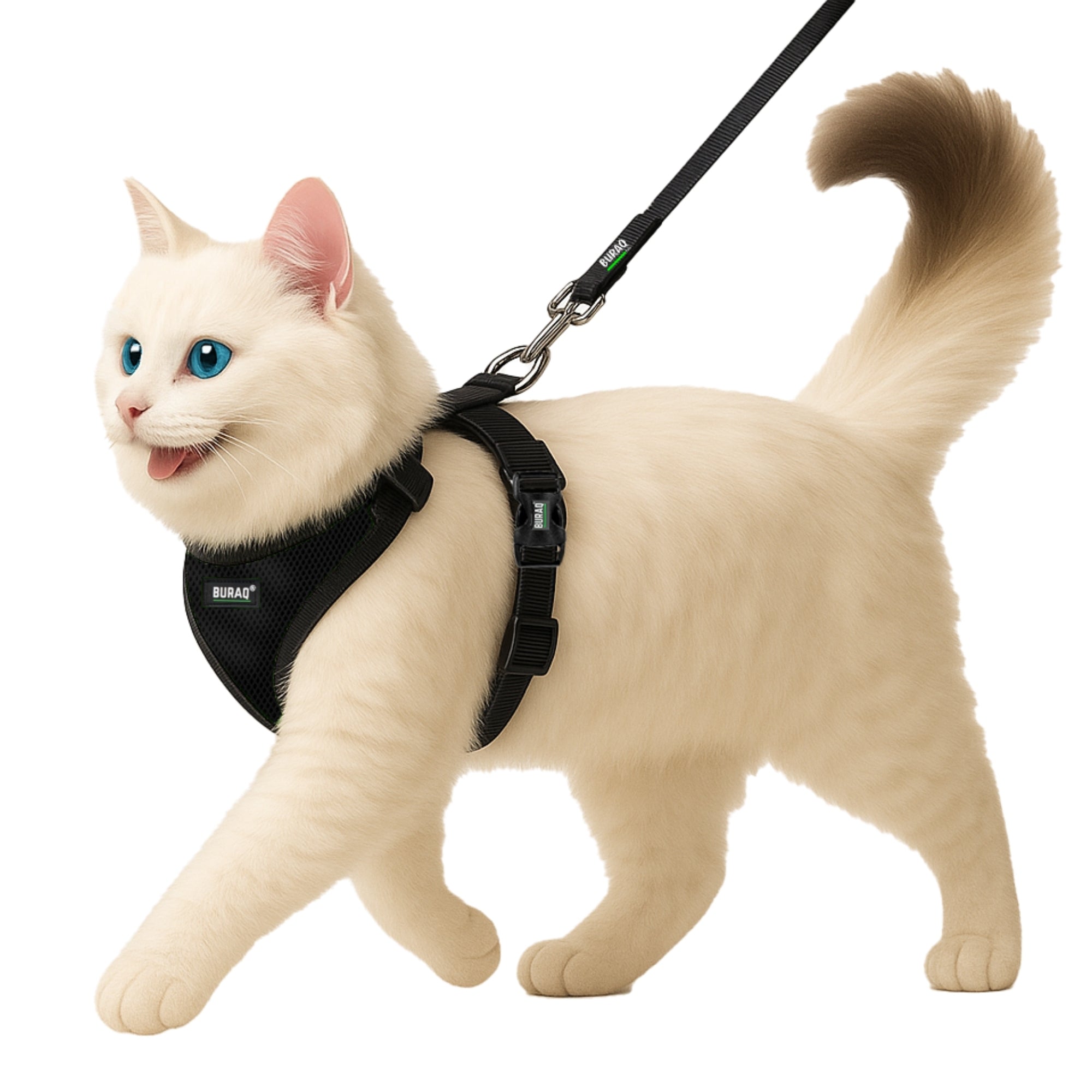 No Pull Cat Harness with Leash – Ultra - Light & Stylish Design - BURAQ PETS