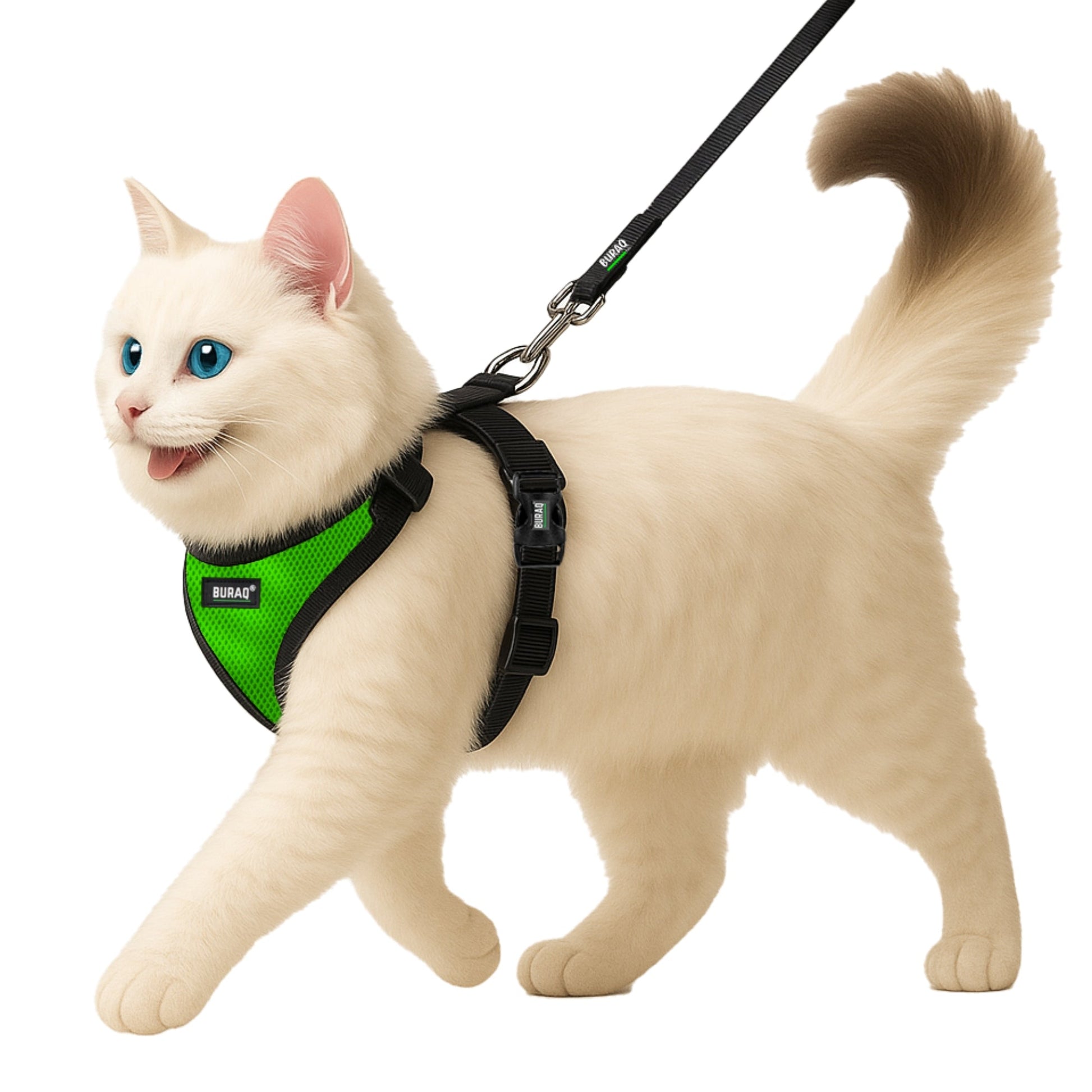 No Pull Cat Harness with Leash – Ultra - Light & Stylish Design - BURAQ PETS