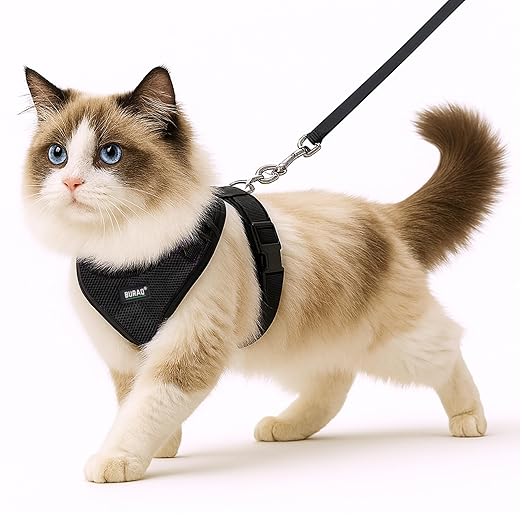 No Pull Cat Harness with Leash – Ultra - Light & Stylish Design - BURAQ PETS
