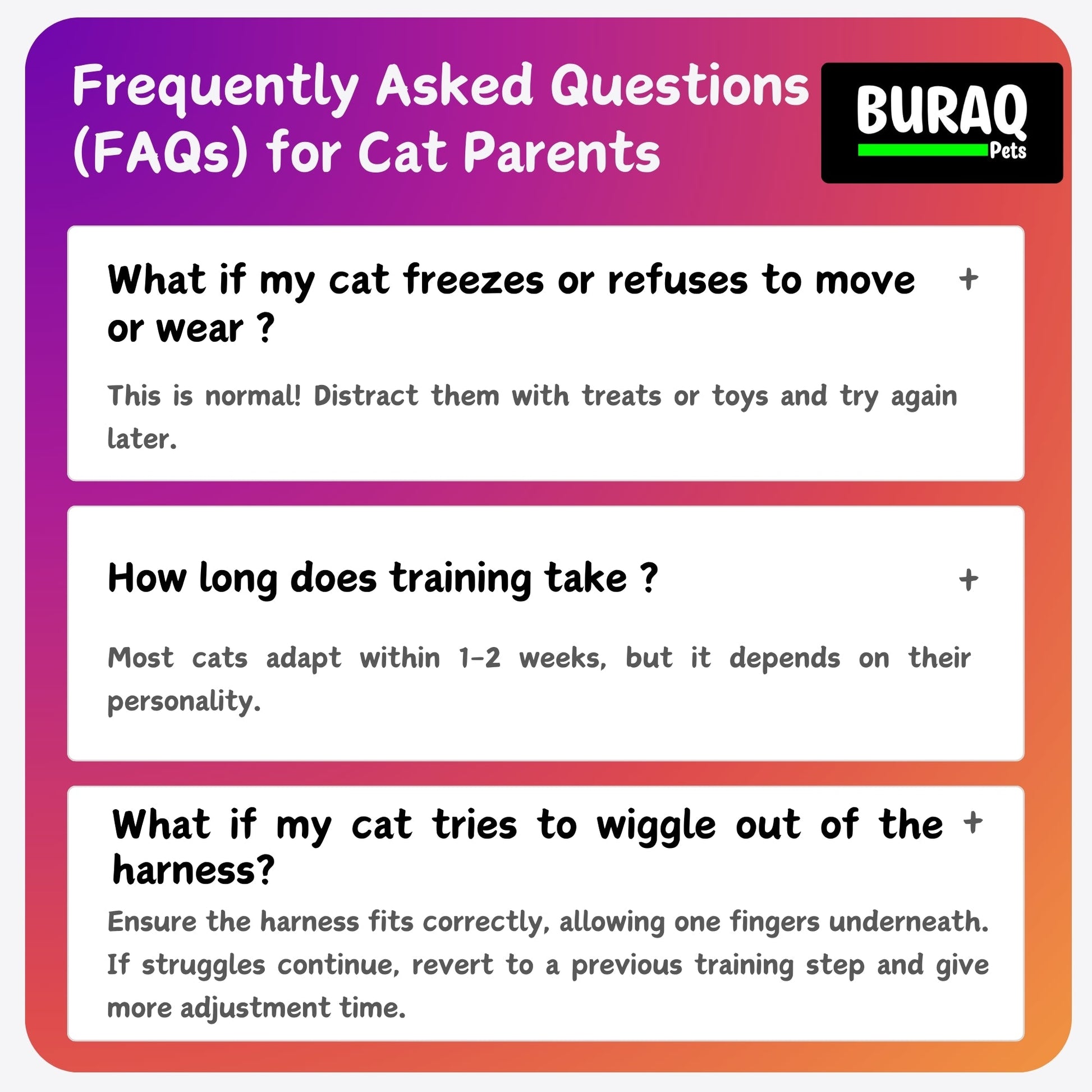 No Pull Cat Harness with Leash – Ultra - Light & Stylish Design - BURAQ PETS