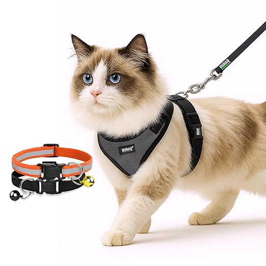 No Pull Escape Proof Cat Harness with Leash + 2 Pcs Cat Collar - premium pet product by Buraq Pets
