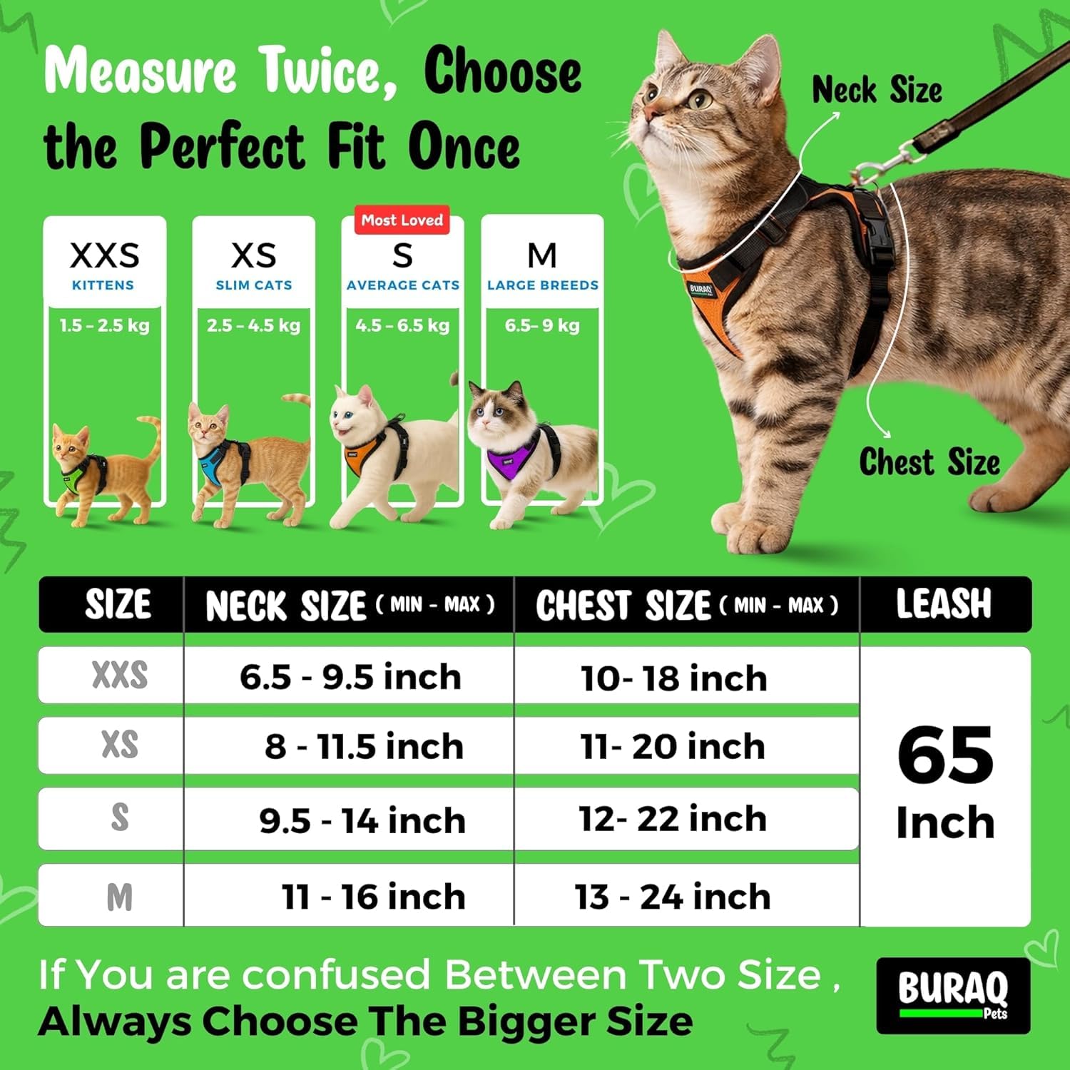 No Pull Escape Proof Cat Harness with Leash + 2 Pcs Cat Collar - BURAQ PETS