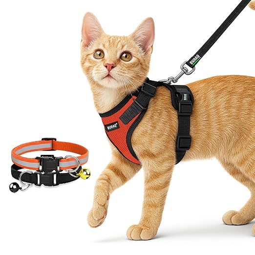 No Pull Escape Proof Cat Harness with Leash + 2 Pcs Cat Collar - premium pet product by Buraq Pets