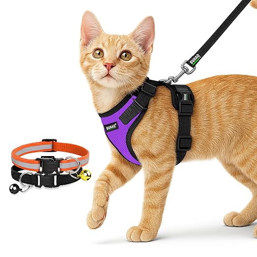 No Pull Escape Proof Cat Harness with Leash + 2 Pcs Cat Collar - premium pet product by Buraq Pets