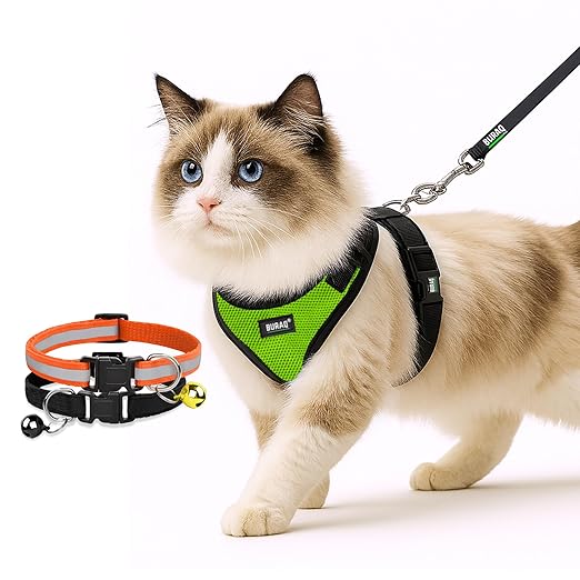 No Pull Escape Proof Cat Harness with Leash + 2 Pcs Cat Collar - premium pet product by Buraq Pets