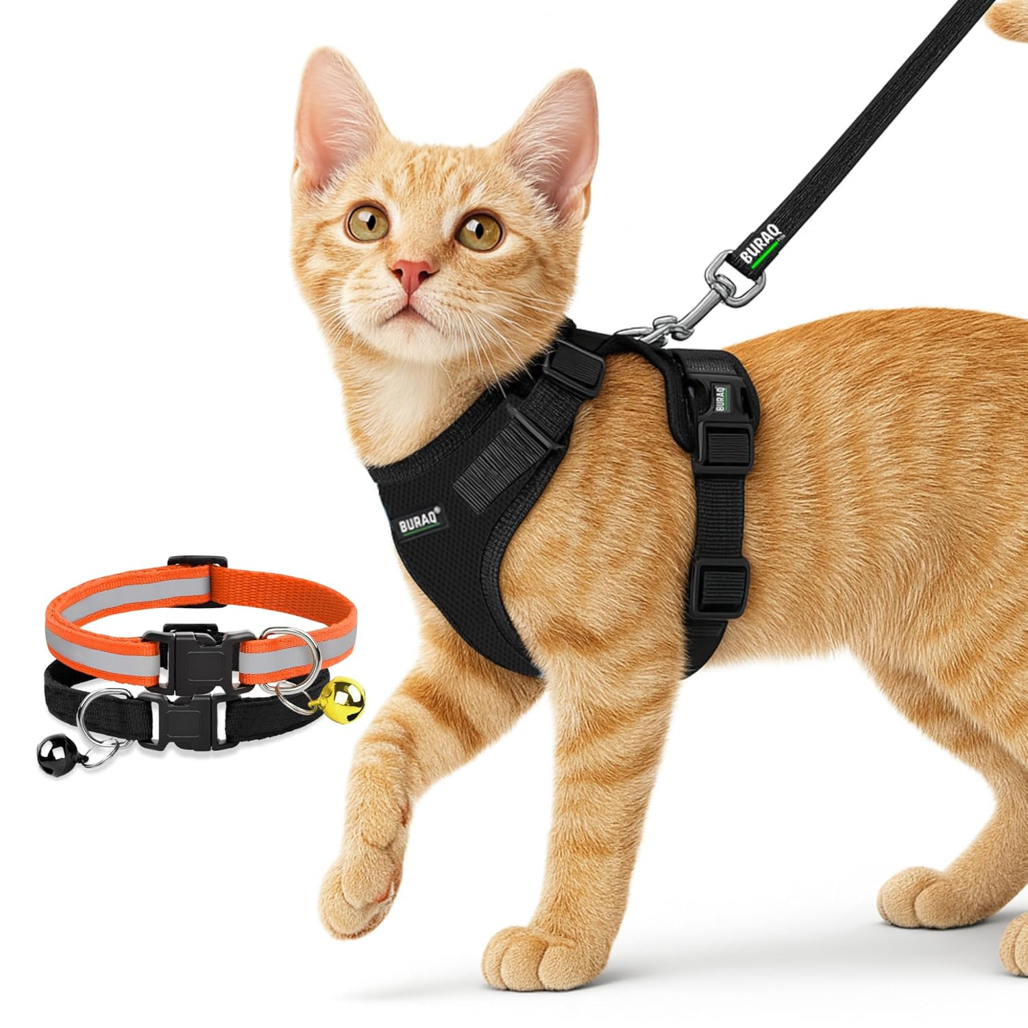 No Pull Escape Proof Cat Harness with Leash + 2 Pcs Cat Collar - premium pet product by Buraq Pets