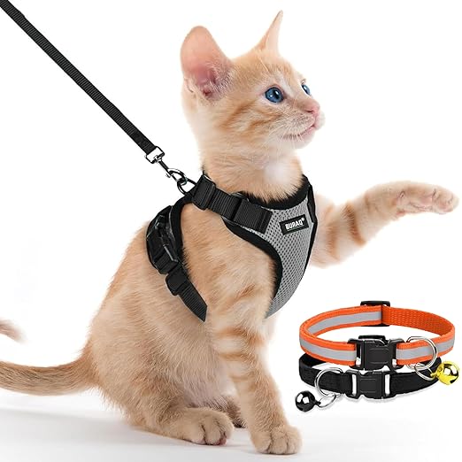 No Pull Escape Proof Cat Harness with Leash Pcs Cat Collar
