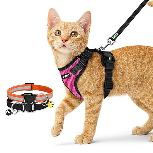 No Pull Escape Proof Cat Harness with Leash + 2 Pcs Cat Collar - premium pet product by Buraq Pets