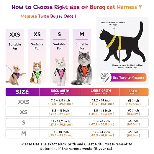 No Pull Escape Proof Cat Harness with Leash + 2 Pcs Cat Collar - BURAQ PETS