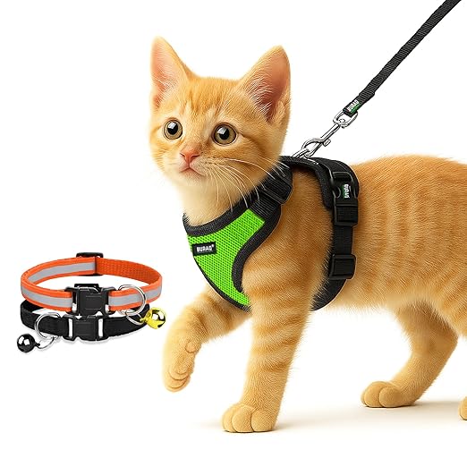 No Pull Escape Proof Cat Harness with Leash + 2 Pcs Cat Collar - premium pet product by Buraq Pets