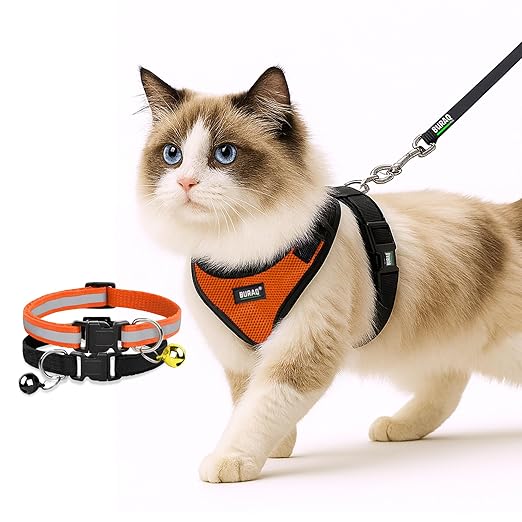 No Pull Escape Proof Cat Harness with Leash + 2 Pcs Cat Collar - premium pet product by Buraq Pets