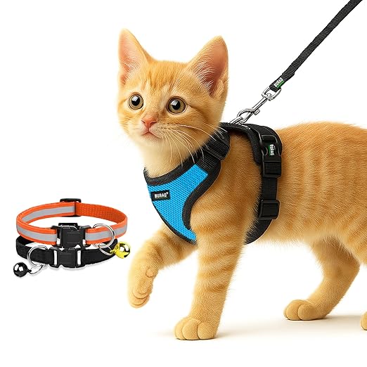 No Pull Escape Proof Cat Harness with Leash + 2 Pcs Cat Collar - BURAQ PETS