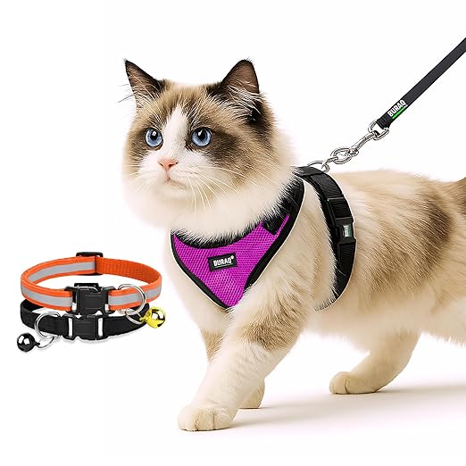 No Pull Escape Proof Cat Harness with Leash + 2 Pcs Cat Collar - premium pet product by Buraq Pets