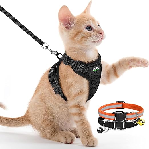 No Pull Escape Proof Cat Harness with Leash + 2 Pcs Cat Collar - BURAQ PETS