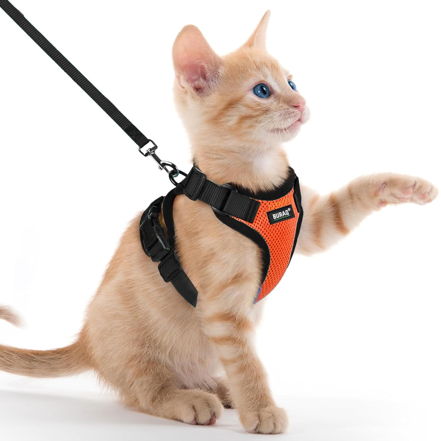 No Pull Escape Proof Cat Harness with Leash - Ultra - Light & Aesthetic Design - BURAQ PETS