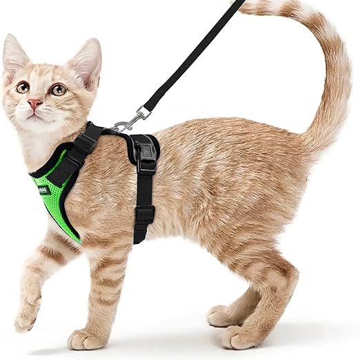 No Pull Escape Proof Cat Harness with Leash - Ultra - Light & Aesthetic Design - BURAQ PETS