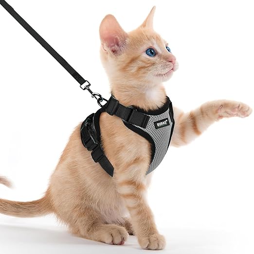 No Pull Escape Proof Cat Harness with Leash - Ultra - Light & Aesthetic Design - BURAQ PETS