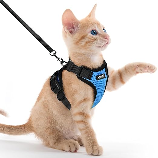 No Pull Escape Proof Cat Harness with Leash - Ultra - Light & Aesthetic Design - BURAQ PETS
