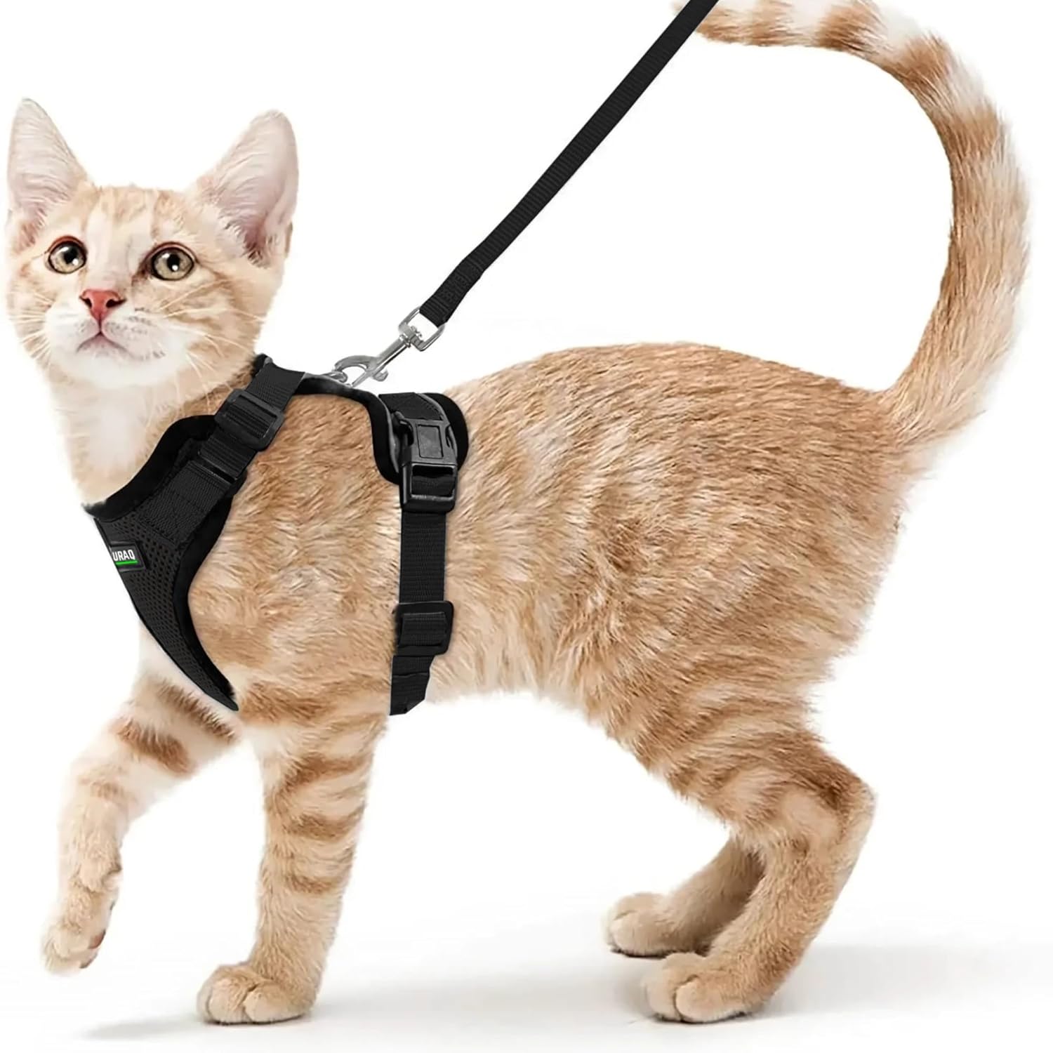 No Pull Escape Proof Cat Harness with Leash - Ultra - Light & Aesthetic Design - BURAQ PETS