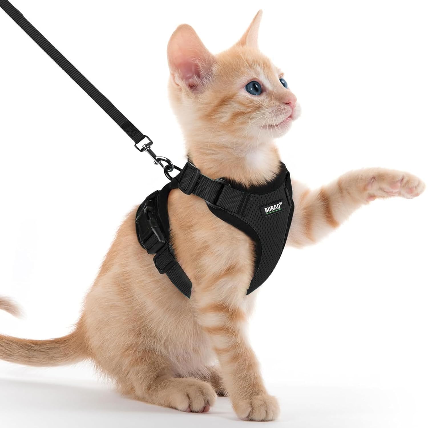 No Pull Escape Proof Cat Harness with Leash - Ultra - Light & Aesthetic Design - BURAQ PETS