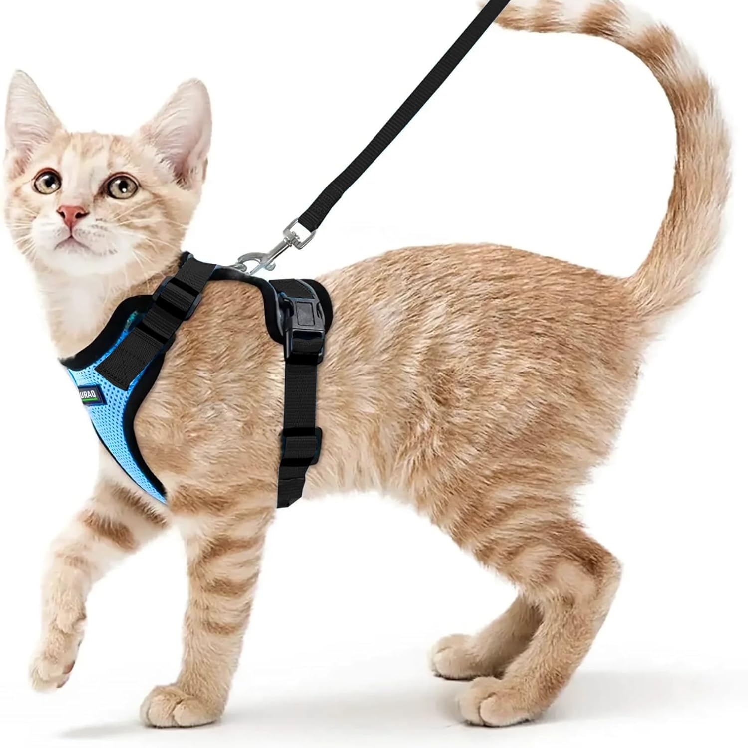 No Pull Escape Proof Cat Harness with Leash - Ultra - Light & Aesthetic Design - BURAQ PETS