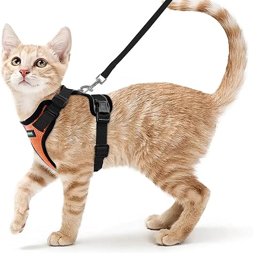 No Pull Escape Proof Cat Harness with Leash - Ultra - Light & Aesthetic Design - BURAQ PETS