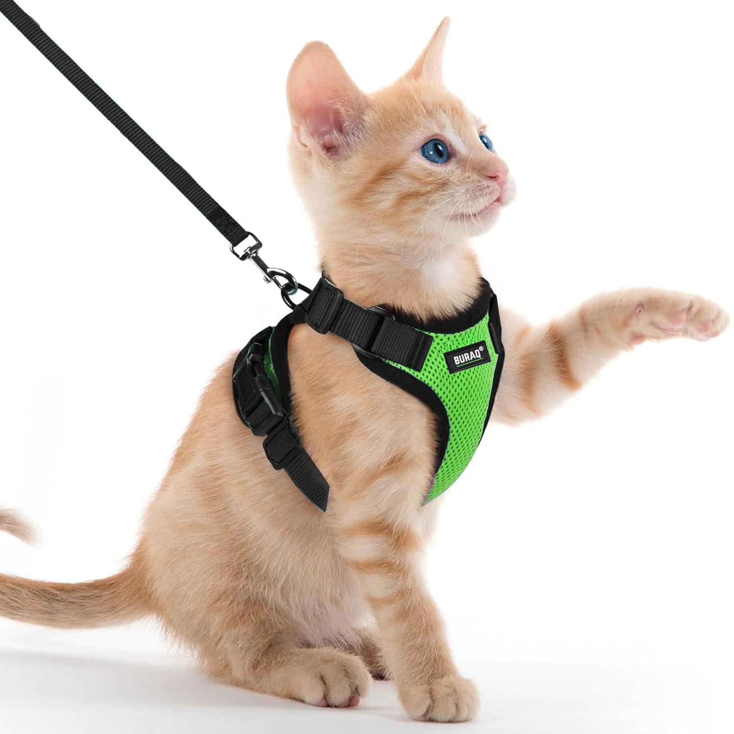 No Pull Escape Proof Cat Harness with Leash - Ultra - Light & Aesthetic Design - BURAQ PETS