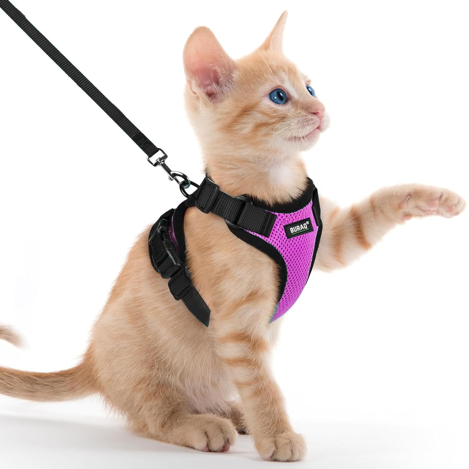 No Pull Escape Proof Cat Harness with Leash - Ultra - Light & Aesthetic Design - BURAQ PETS