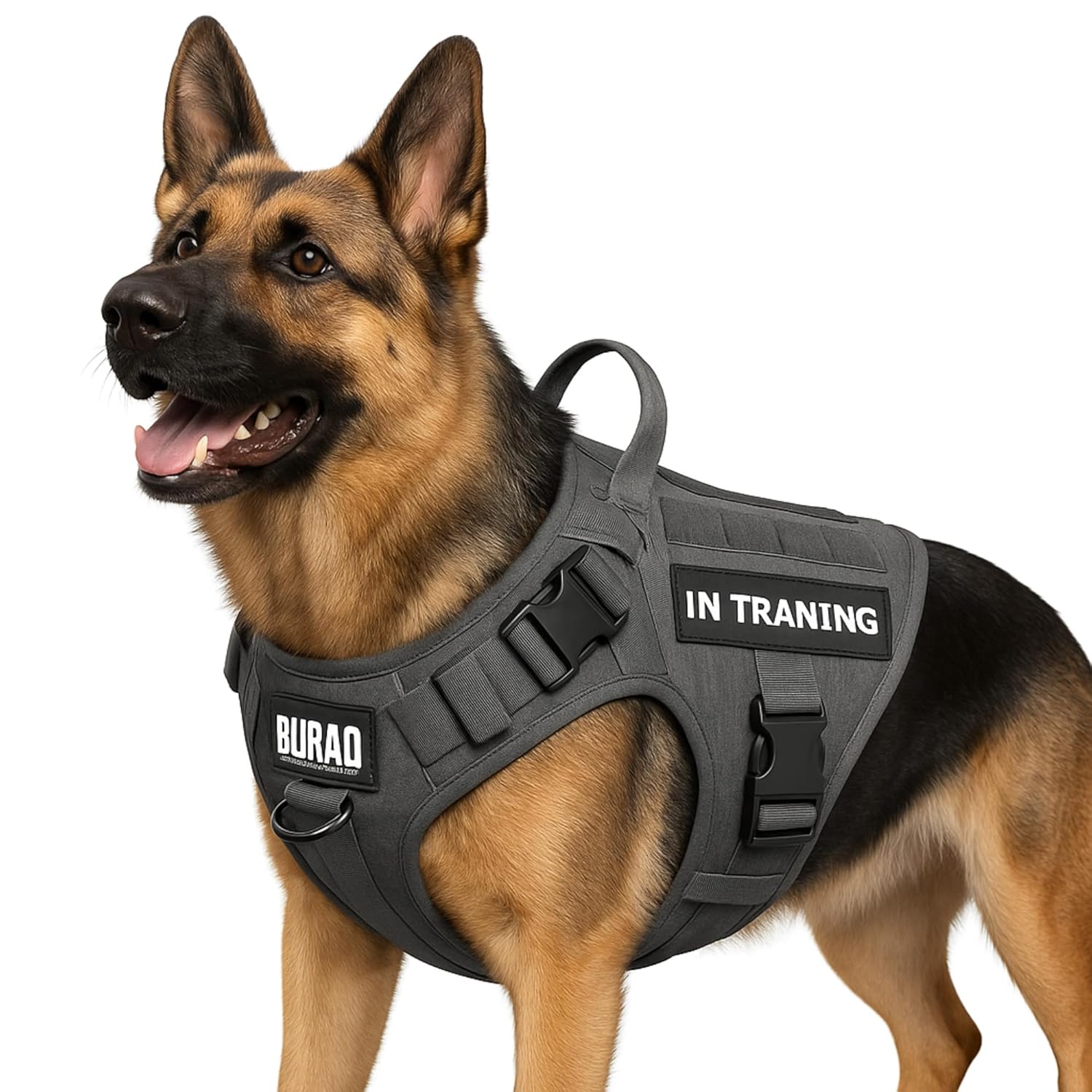 No Pull Tactical Dog Harness for Large Dogs - BURAQ PETS