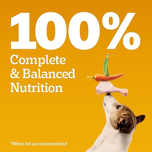 Pedigree Adult Dry Dog Food ( Flavour - Chicken & Veg. ) - BURAQ PETS