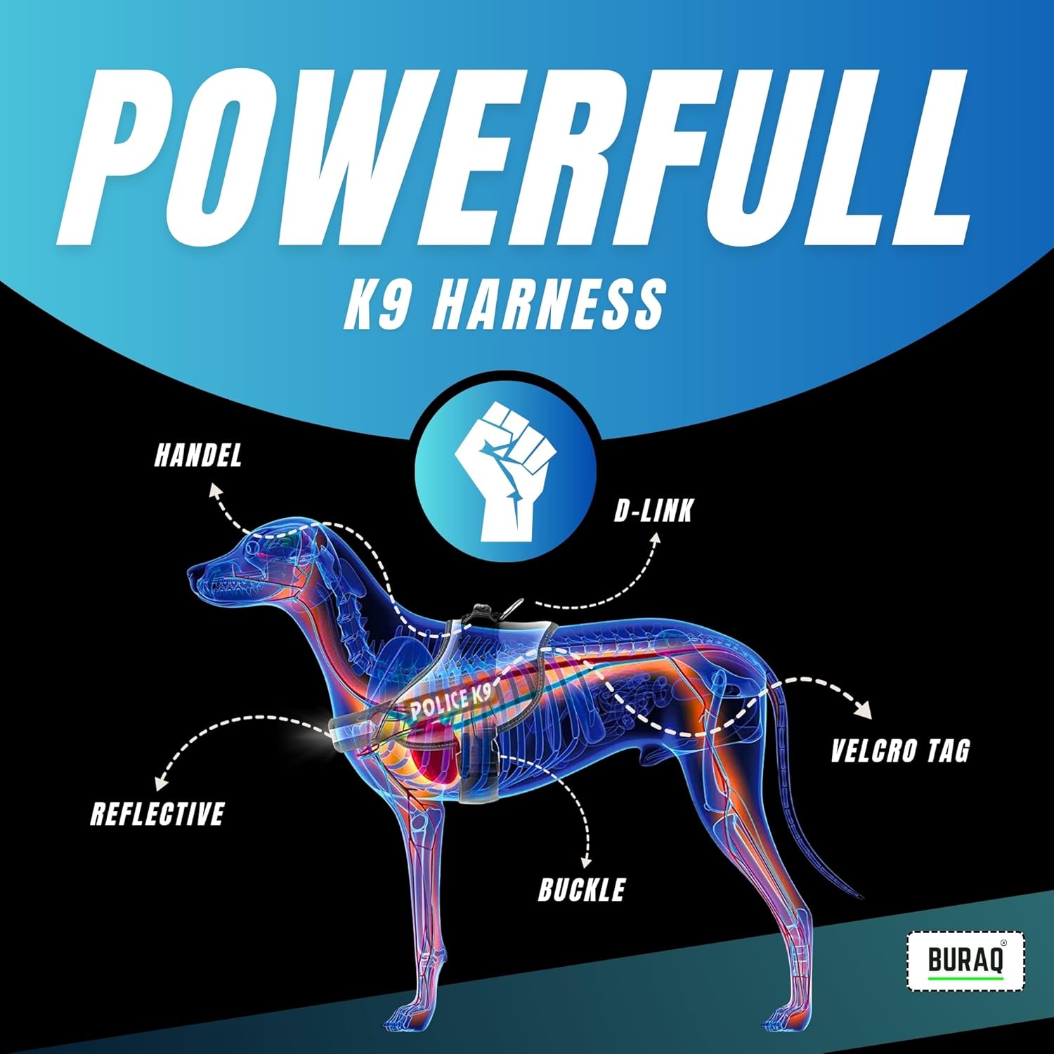 Personalized Dog Harness with Leash & Name - BURAQ PETS