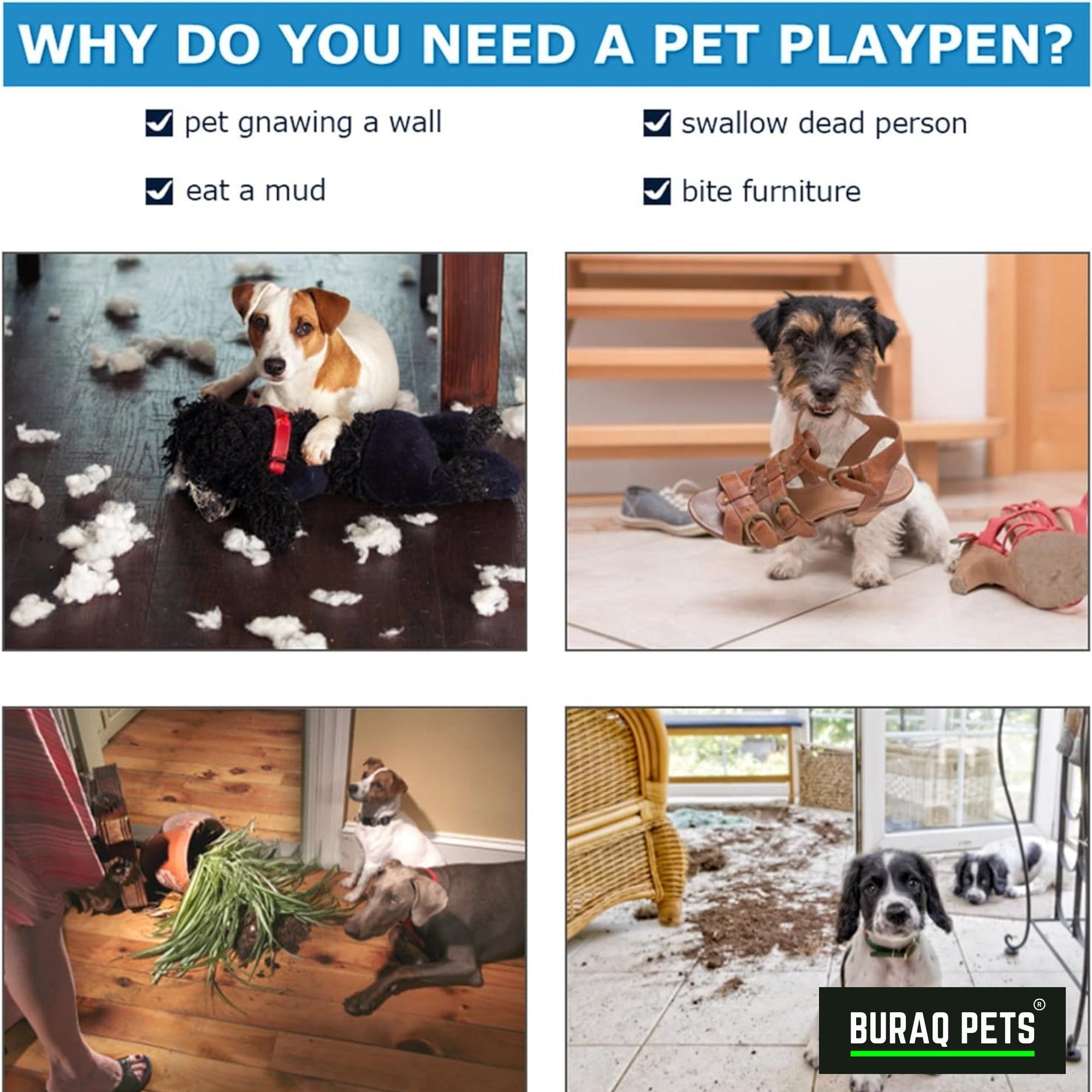 Pet Cage - BURAQ PETS