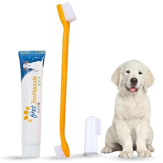 Pet Oral Care Kit – 70g Dog Toothpaste with 3 Toothbrushes - BURAQ PETS