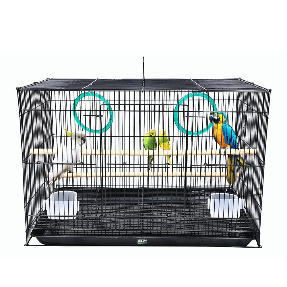 Premium Bird Cage with Wooden Stick and Feeding Bowl ( multicolour ) - BURAQ PETS