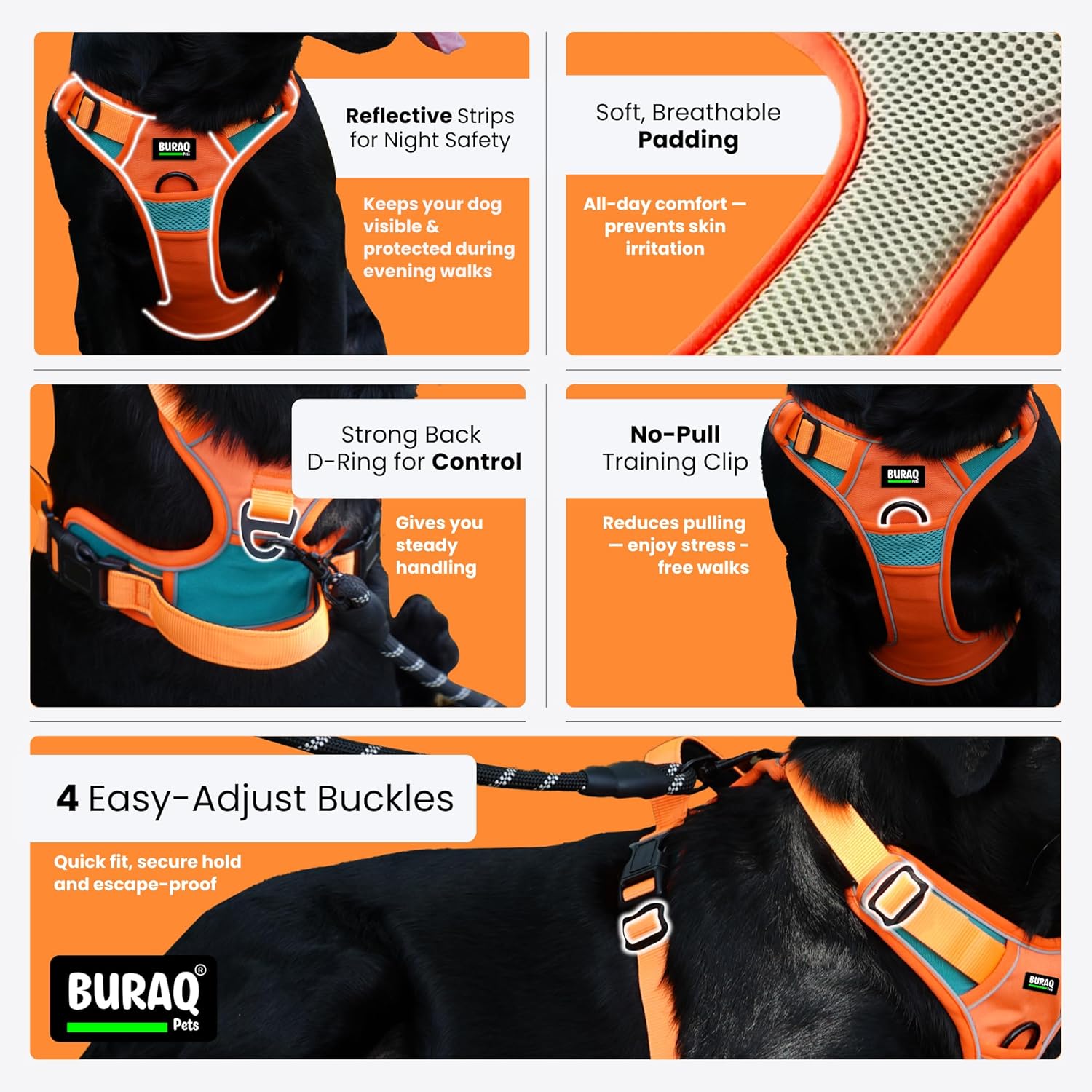 Premium No Pull Dog Harness with Leash - Adjustable Padded Vest - BURAQ PETS