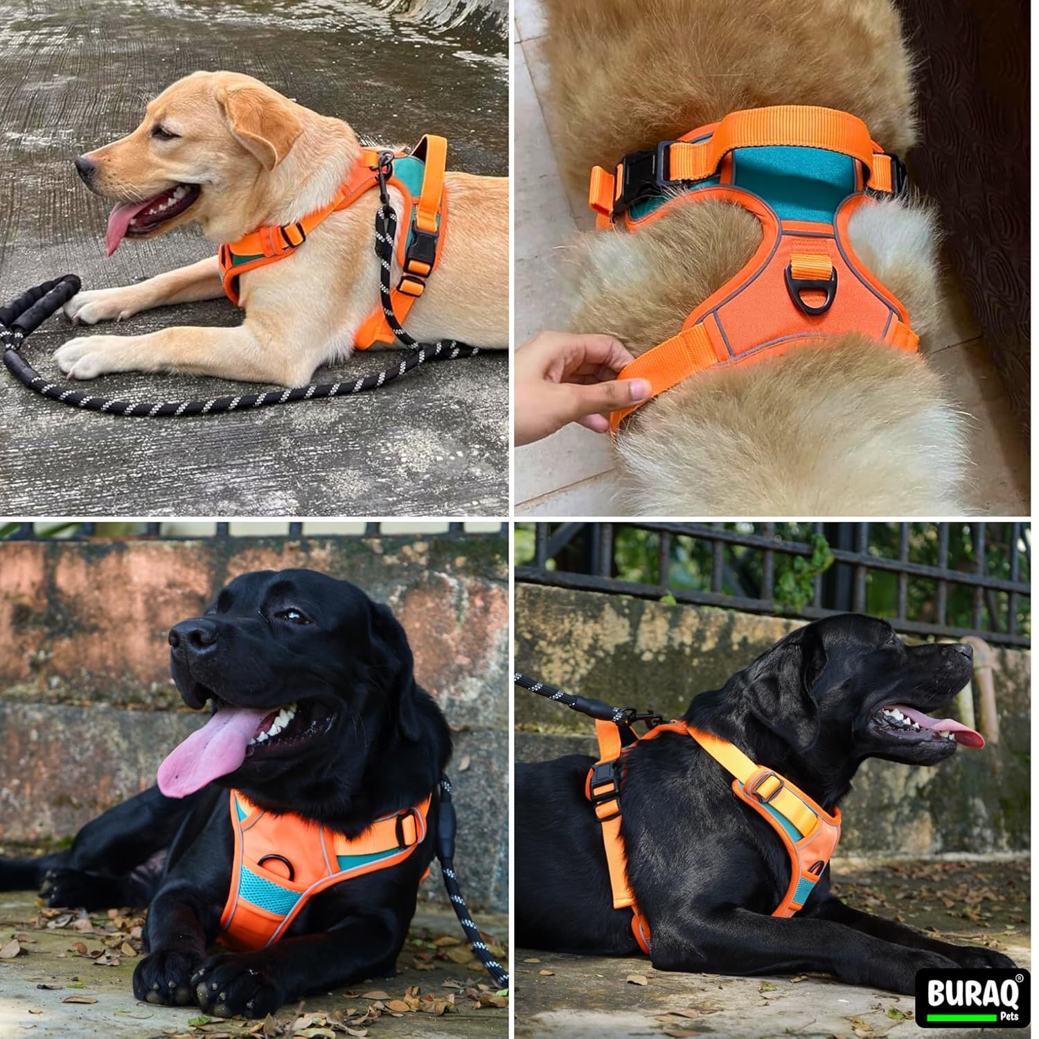 Premium No Pull Dog Harness with Leash - Adjustable Padded Vest - BURAQ PETS